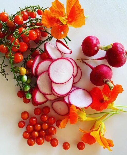 vegetable-prep.jpg